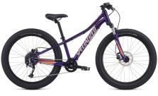 SPECIALIZED RIPROCK COMP 24 GLOSS PLUM 2019 ÅRS MODELL